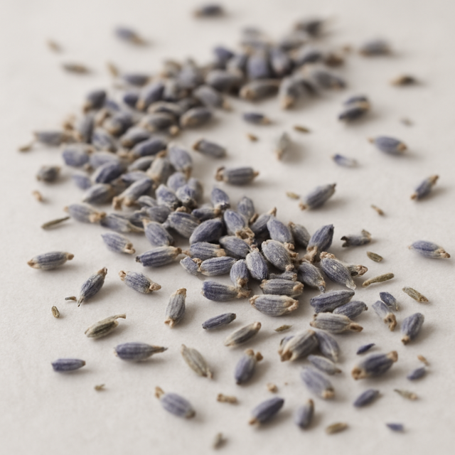 Organic Sugar Free Lavender Flavor Powder