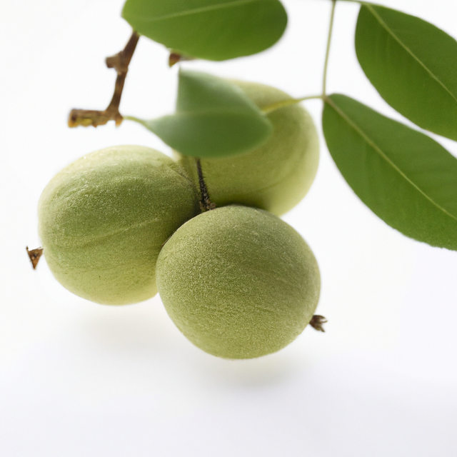 Black Walnut Flavor Concentrate, Natural