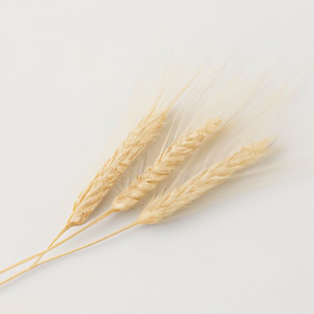 Malt Flavor Concentrate, Natural