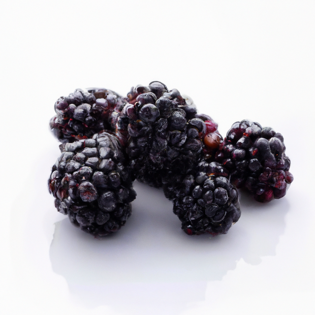 Blackberry Coffee Syrup, Organic