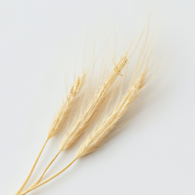 Malt Flavor Oil for Lip Balm