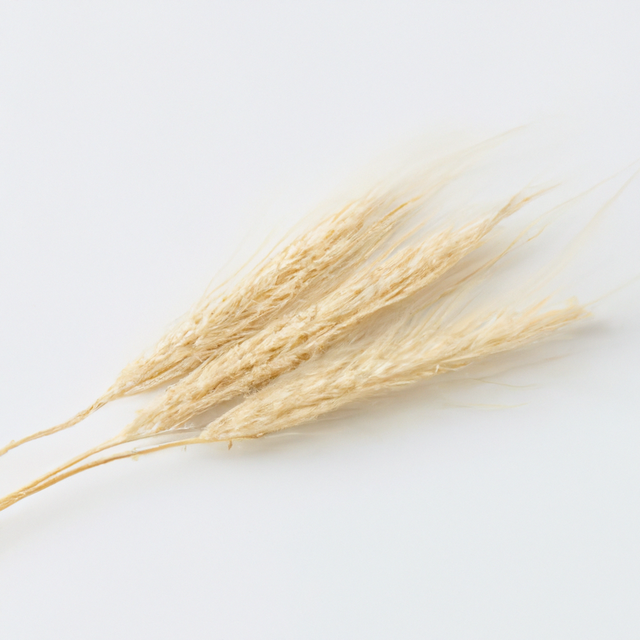 Malt Flavor Oil for Chocolate