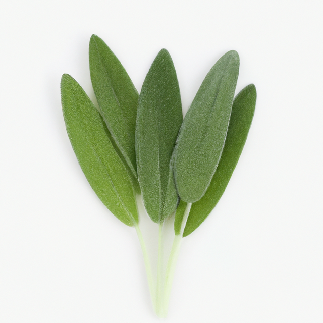 Sage Essential Oil, Natural