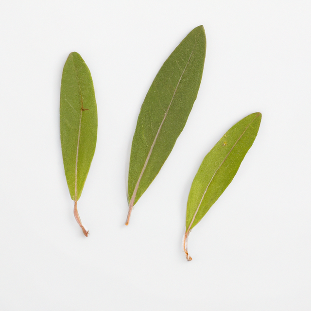 Tea Tree Essential Oil, Natural