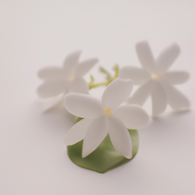 Jasmine Fragrance Oil (Oil Soluble)