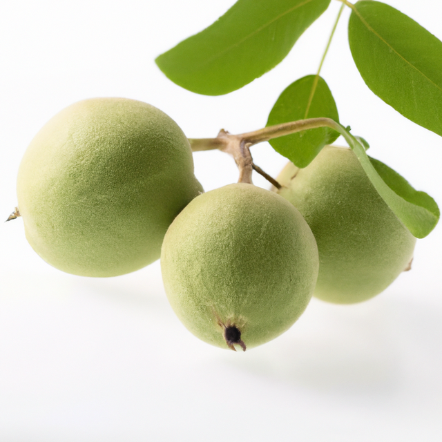 Organic Black Walnut Flavor Concentrate Without Diacetyl