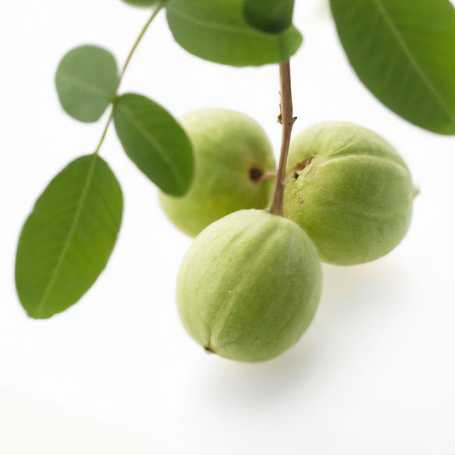 Black Walnut Flavor Extract, Natural