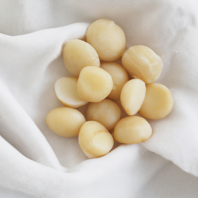 Macadamia Praline Flavor Powder, Natural