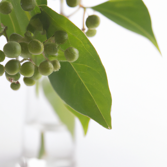 Wintergreen Flavor Extract, Natural