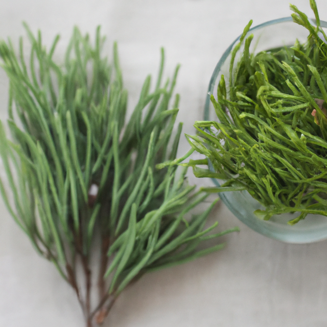 Cedarwood Fragrance Oil (Oil Soluble)