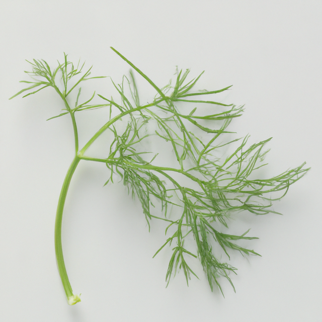 Dill Cotton Candy Floss Sugar