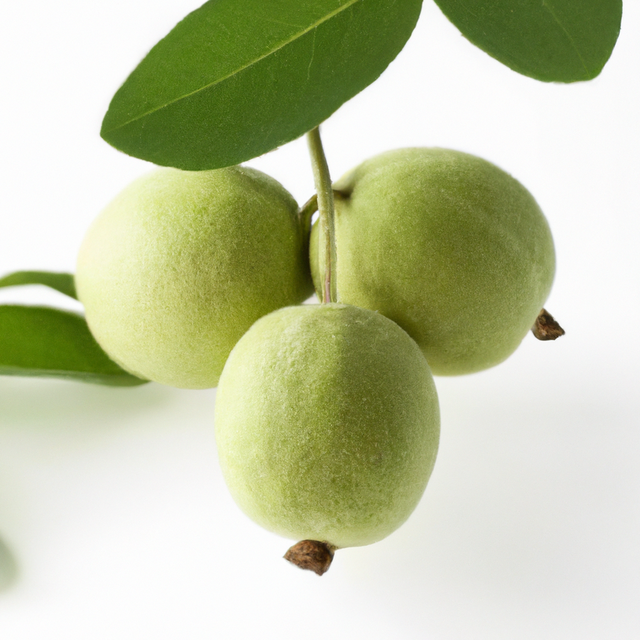 Black Walnut Cotton Candy Floss Sugar