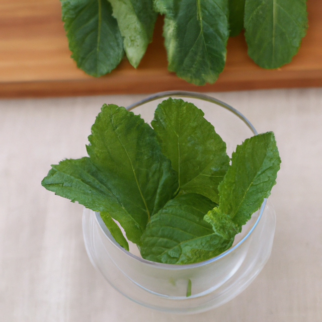 Sugar Free Spearmint Flavor Powder