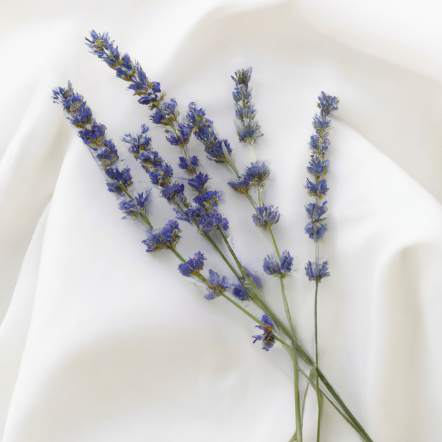 Lavender Flavor Concentrate, Natural