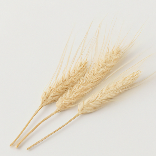 Organic Malt Coffee and Tea Flavor Without Diacetyl