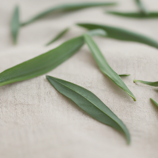 Tarragon Leaf Flavor Powder, Natural