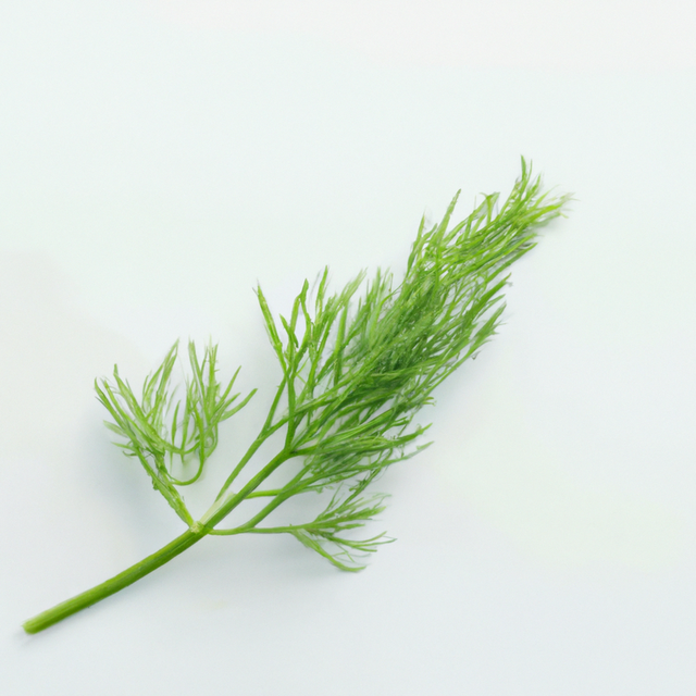 Dill Flavor Concentrate, Natural