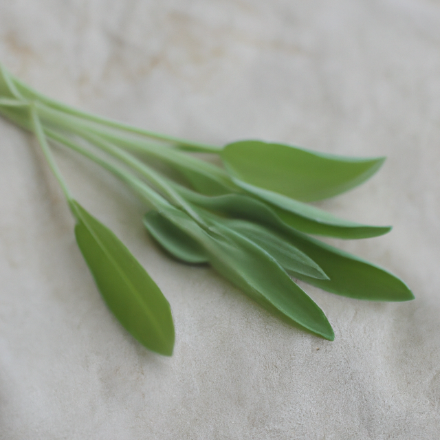 Sage Flavor Extract, Organic