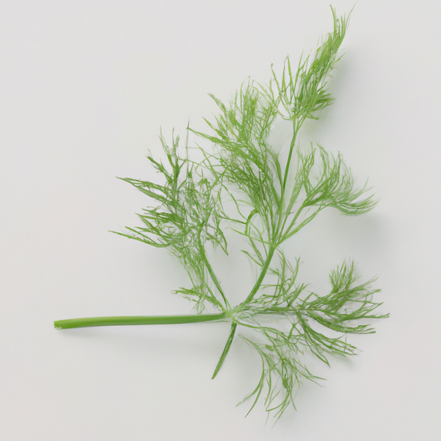 Dill Flavor Extract, Natural