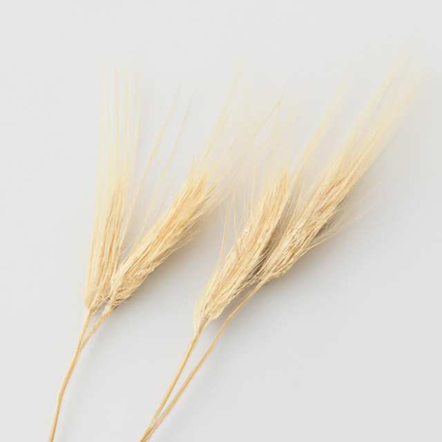 Malt Flavor Extract Without Diacetyl