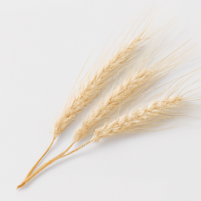 Organic Malt Flavor Extract Without Diacetyl