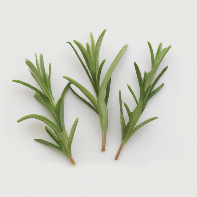 Organic Rosemary Flavor Extract Without Diacetyl