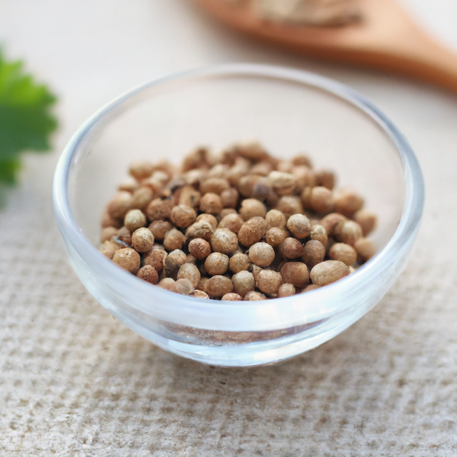 Sugar Free Coriander Flavor Powder