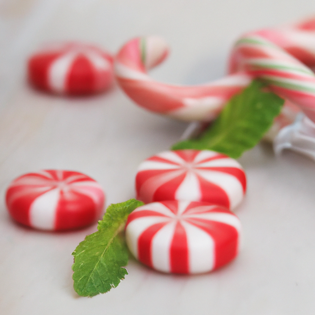 Peppermint Super Concentrated Flavor Powder (3X Fold)