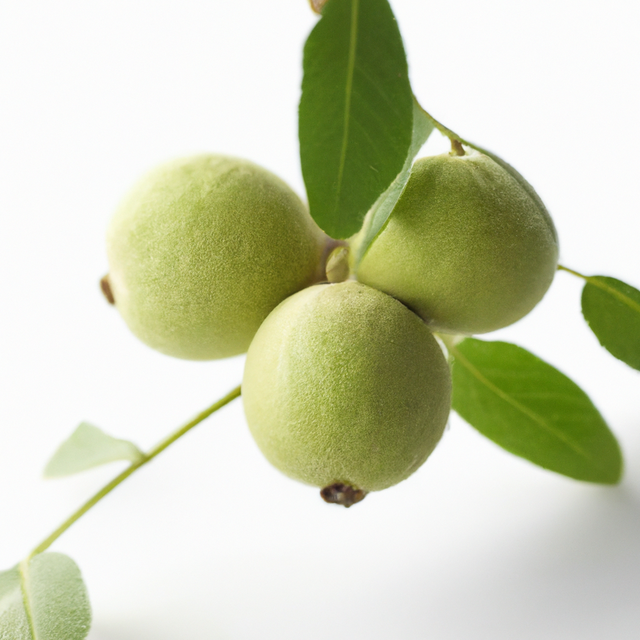 Black Walnut Flavor Emulsion for High Heat Applications