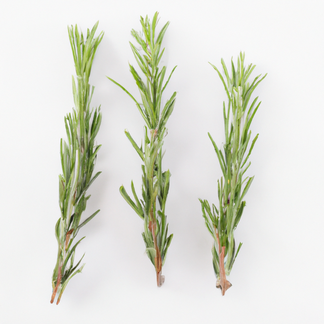 Rosemary Fragrance Oil (Oil Soluble), Organic