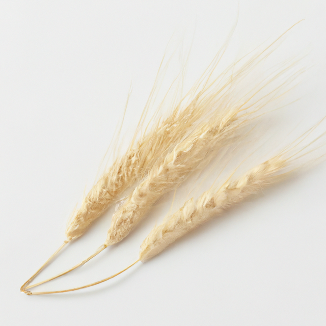 Malt Coffee and Tea Flavoring - Without Diacetyl