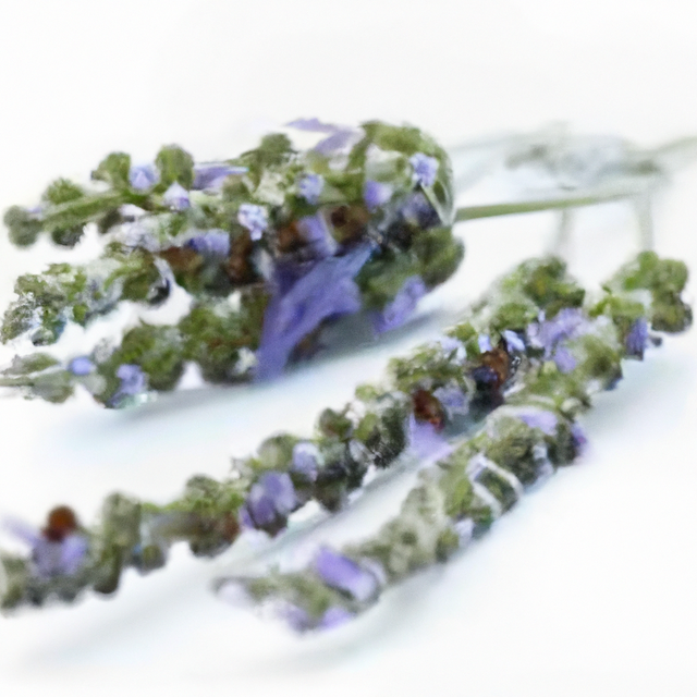 English Lavender Fragrance Oil, Organic