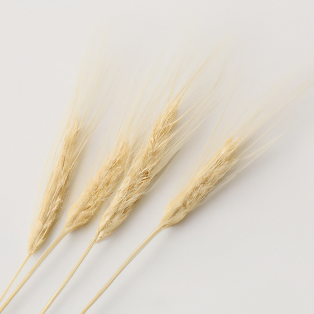 Malt Cotton Candy (Ready to Eat)