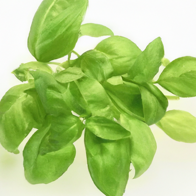 Basil Leaves, Ground