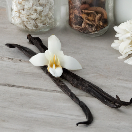 Vanilla Clear Flavor Concentrate, Organic