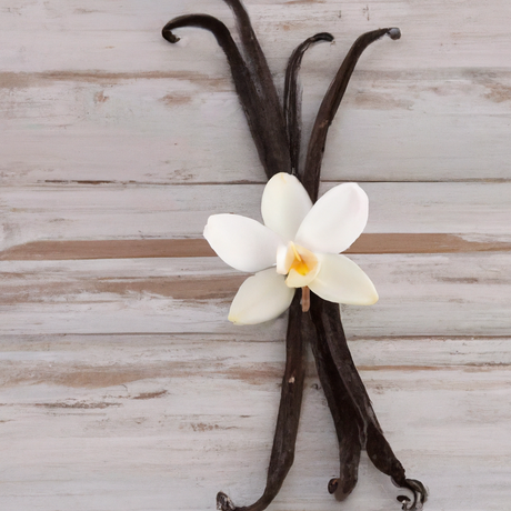 Organic Vanilla Clear Flavor Concentrate Without Diacetyl