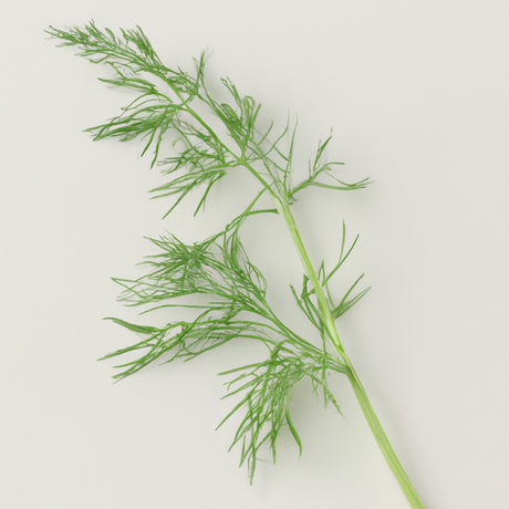 Dill Cotton Candy (Ready to Eat)