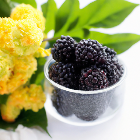 Blackberry Rose Soda Syrup