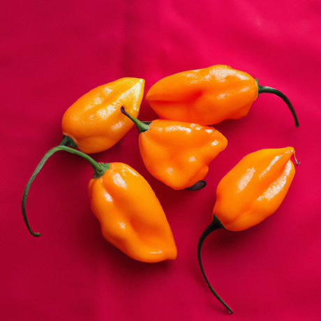 Mango Habanero Flavor Oil, Natural