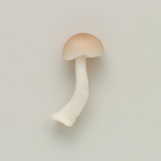 Mushroom Cotton Candy Floss Sugar