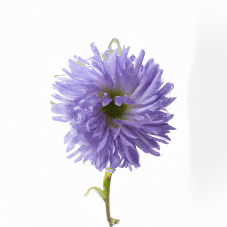 Violet Cotton Candy (Ready to Eat)