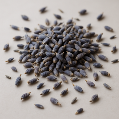 English Lavender Fragrance Emulsion (Water Soluble)