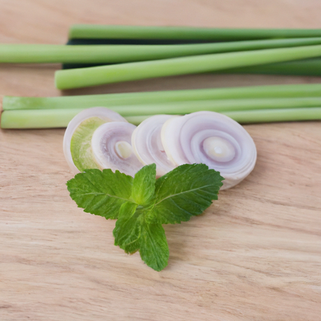 Peppermint Lemongrass Cotton Candy (Ready to Eat)