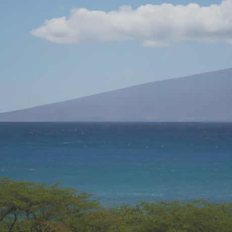 Calm Sea Fragrance Oil (Oil Soluble), Organic