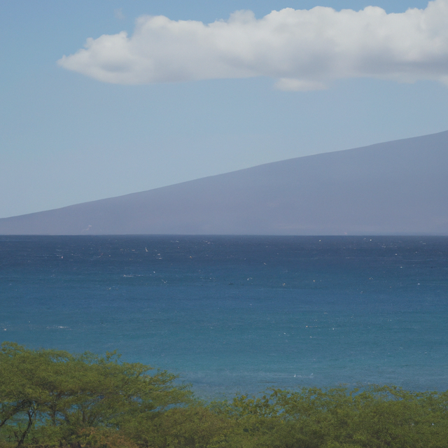 Calm Sea Fragrance Oil (Oil Soluble), Organic