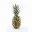 Pineapple Breeze Fragrance Emulsion (Water Soluble)
