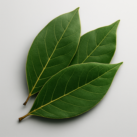 Bay Flavor Concentrate, Natural