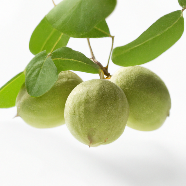 Organic Black Walnut Coffee and Tea Flavoring Without Diacetyl