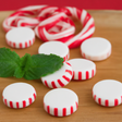 Candy Cane Snow Cone Syrup Powder, Sugar-Free