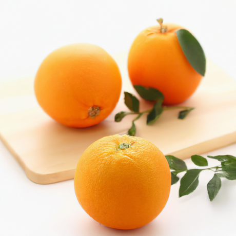 Orange Syrup Powder, Sugar-Free